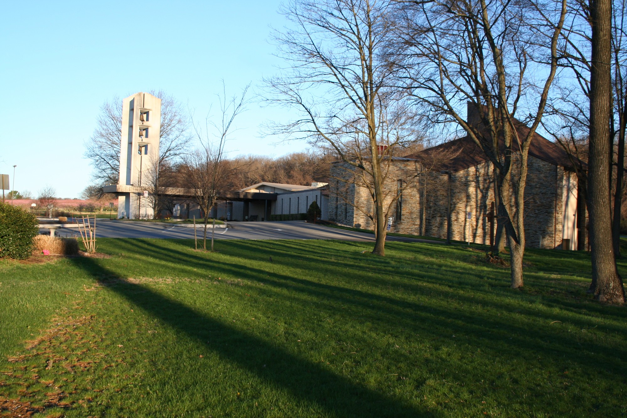 St John Neuman Blessed John XXIII school - Side shot